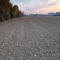 Terreno agricolo località Asseggiano