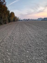 Terreno agricolo località Asseggiano