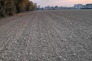 Terreno agricolo località Asseggiano