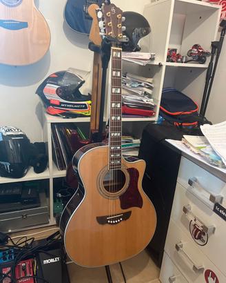 Harley Benton CLJ-503CE WN