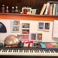 STRUMENTI MUSICALI