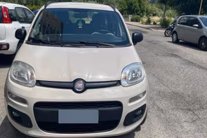 Fiat Panda natural power