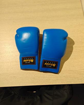 Guantoni da Boxe