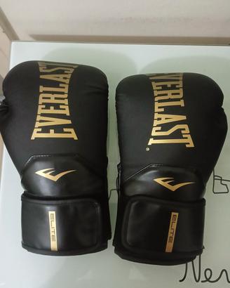 guantoni boxe Everlast 