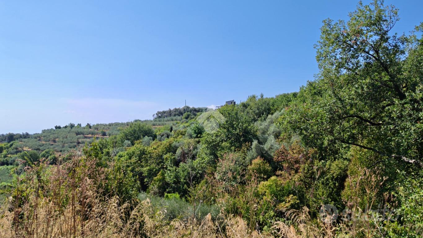 TER. AGRICOLO A LOANO - Altro