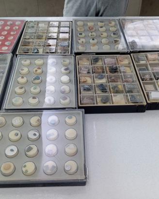 Collezione Mineralogica Vintage 9 Valigette-180 