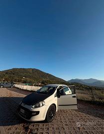 punto evo