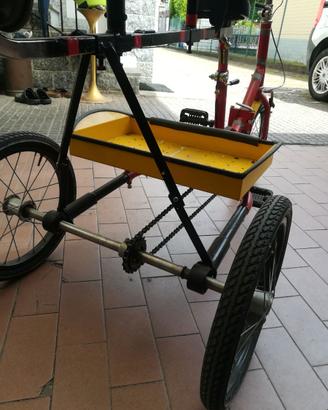 Bici biposto