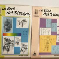 Lotto 13 Volumi Disegno Collana Leonardo Maimeri