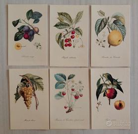 6 Stampe - La Tavolozza della Natura / Frutti 1962