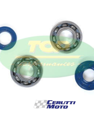Kit Cuscinetti + paraoli banco minarelli Am6