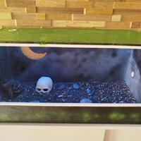 Terrario per rettili