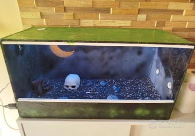 Terrario per rettili