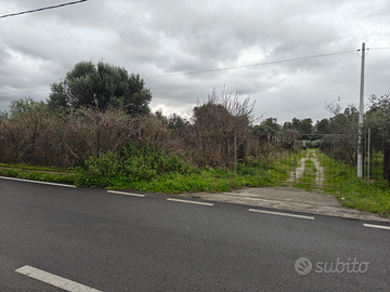 Terreno agricolo Terrasini 4000mq