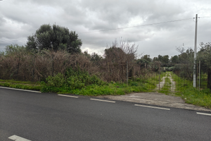 Terreno agricolo Terrasini 4000mq