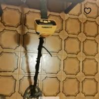 metal detector 