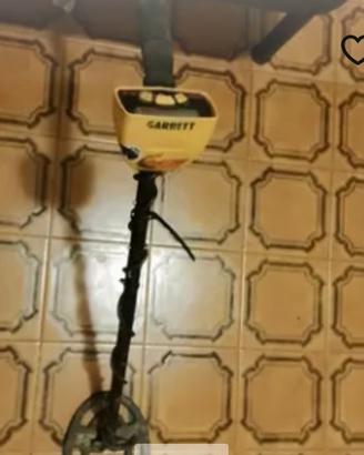metal detector 