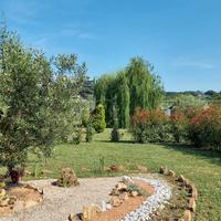 TERRENO AGRICOLO adibito a giardino per eventi