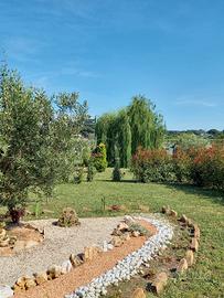 TERRENO AGRICOLO adibito a giardino per eventi