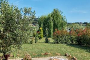 TERRENO AGRICOLO adibito a giardino per eventi