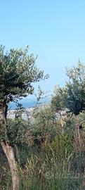 a Formia terreno