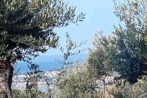 a Formia terreno