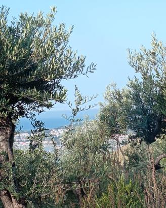 a Formia terreno
