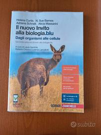 Libri liceo scientifico