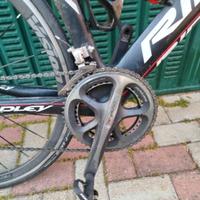 Ridley noah fast