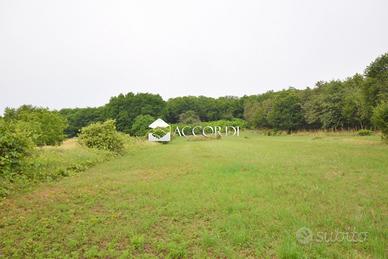 Rif.ZT57_8| area edificabile giavera del montello