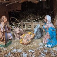 PRESEPE N7 