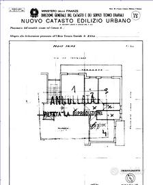 3 LOCALI A FONTE NUOVA