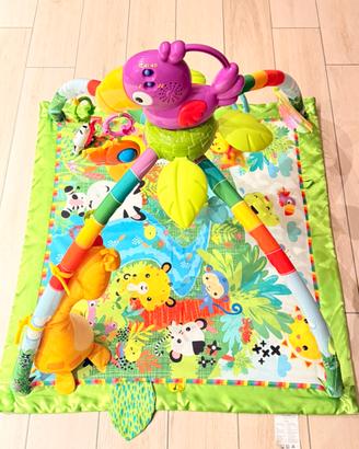 Palestrina Fisher price Tucano