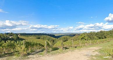 Vigneto Chianti Classico 22 ha Firenze