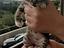 Immagine 2
