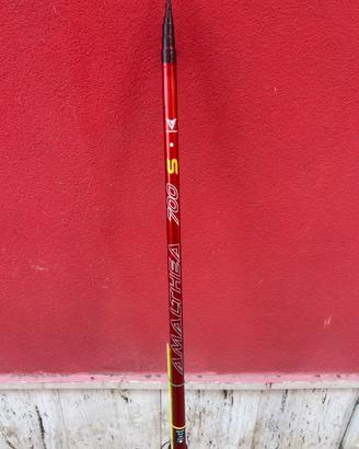 Canna bolognese Veret Amalthea 7m strong
