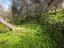 Immagine 18