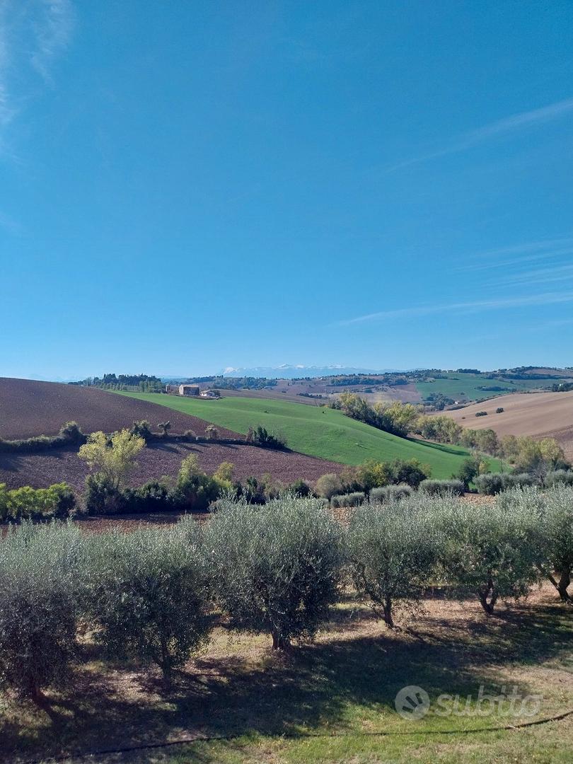 Casale con 1 ettaro di terreno agricolo - Vista 3
