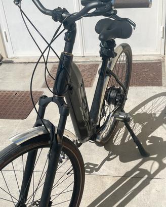 Bici elettrica