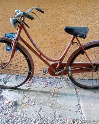 bicicletta