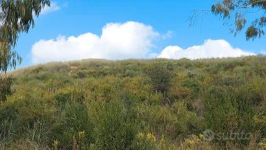 Terreno Agricolo di Mq. 47.000 a Scario
