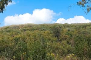 Terreno Agricolo di Mq. 47.000 a Scario
