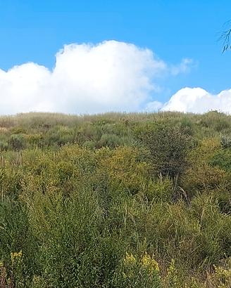 Terreno Agricolo di Mq. 47.000 a Scario