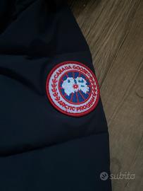 Canada goose blu