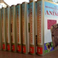 Enciclopedia nel meraviglioso mondo mdegli animali