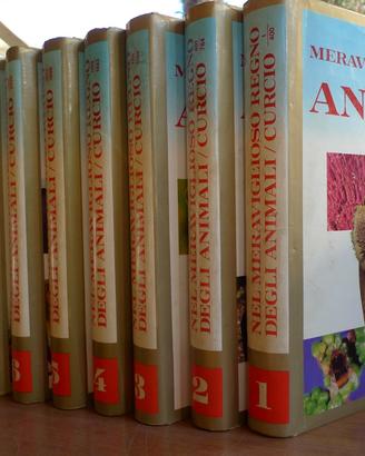 Enciclopedia nel meraviglioso mondo mdegli animali