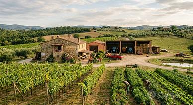 Azienda Agricola - Campiglia Marittima