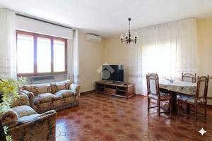 5 LOCALI A VECCHIANO