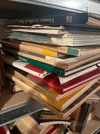 Libri e riviste arte pittori, varie collane