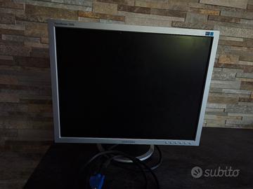 monitor 